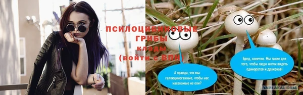 МДПВ Бородино