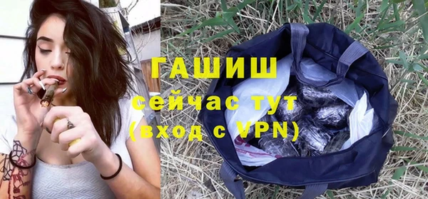 МДПВ Бородино