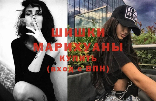 МДПВ Бородино
