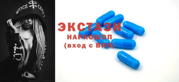 МДПВ Бородино