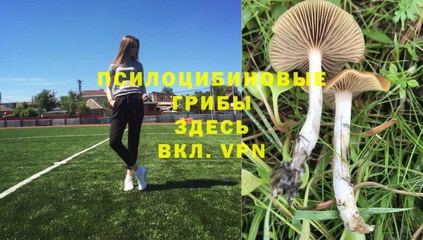 ALPHA PVP Верхнеуральск