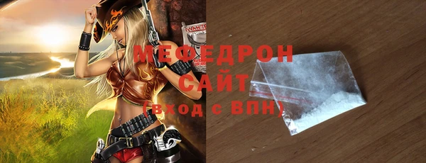 МДПВ Бородино