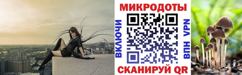 Псилоцибиновые грибы Cubensis  кракен ТОР  Самара  закладка 